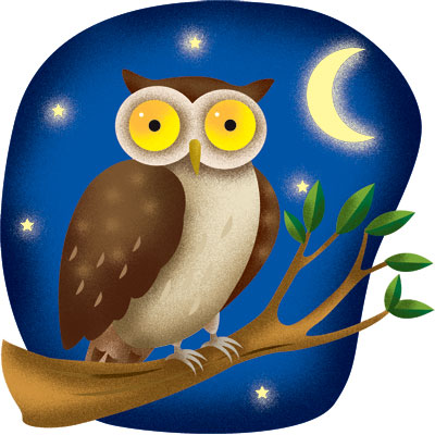 Night Owl Cave